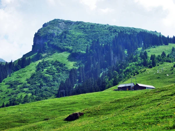 Alpejski Szczyt Chserrugg Pasmo Górskie Churfirsten Między Toggenburg Regionu Jezioro — Zdjęcie stockowe