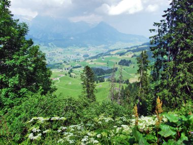 Ağaçlar ve Churfirsten dağ silsilesi Toggenburg bölgesi - Canton St. Gallen, İsviçre yamaçları karışık ormanlar