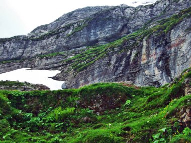Taşlar ve kayalar Churfirsten dağ aralığının Toggenburg bölgesi - Canton St. Gallen, İsviçre