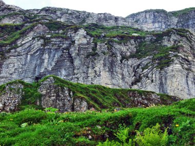 Taşlar ve kayalar Churfirsten dağ aralığının Toggenburg bölgesi - Canton St. Gallen, İsviçre