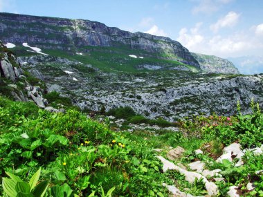Taşlar ve kayalar Churfirsten dağ aralığının Toggenburg bölgesi - Canton St. Gallen, İsviçre