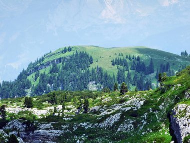 Taşlar ve kayalar Churfirsten dağ aralığının Toggenburg bölgesi - Canton St. Gallen, İsviçre