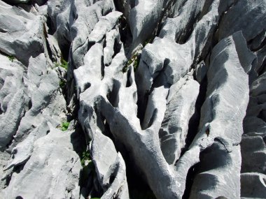Taşlar ve kayalar Churfirsten dağ aralığının Toggenburg bölgesi - Canton St. Gallen, İsviçre