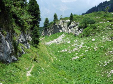 Taşlar ve kayalar Churfirsten dağ aralığının Toggenburg bölgesi - Canton St. Gallen, İsviçre