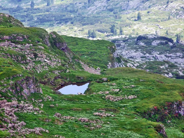 Πέτρες Και Τους Βράχους Της Churfirsten Οροσειρά Της Toggenburg Περιοχή — Φωτογραφία Αρχείου