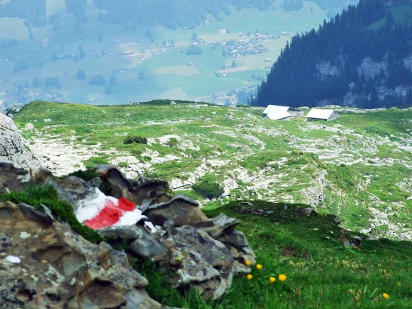 Stones Rocks Churfirsten Mountain Range Toggenburg Region Canton Gallen Switzerland — Stock Photo, Image