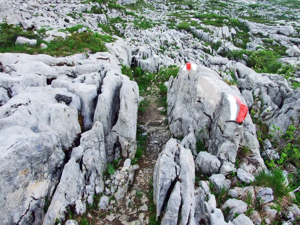 Pedras Rochas Cordilheira Churfirsten Região Toggenburg Cantão Gallen Suíça — Fotografia de Stock