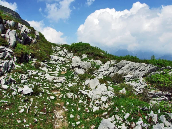 Камені Скелі Churfirsten Гірського Хребта Toggenburg Області Кантону Санкт Галлен — стокове фото
