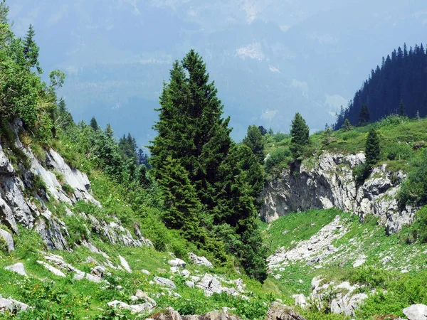 石やトッゲンブルグ地域 ザンクト ガレンのカントン スイス連邦共和国の Churfirsten 山脈の岩 — ストック写真