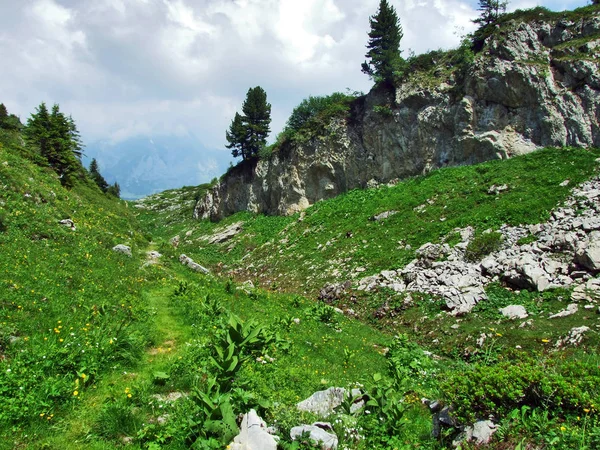 Piedras Rocas Cordillera Churfirsten Región Toggenburg Cantón Gallen Suiza — Foto de Stock