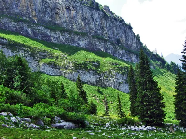 Steine Und Felsen Der Churfirsten Toggenburg Kanton Gallen Schweiz — Stockfoto