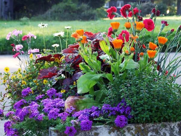 Flores Jardim Como Uma Decoração Rua Assentamento Unterwasser Cantão Gallen — Fotografia de Stock