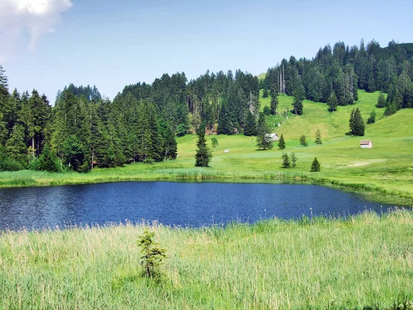 Smaller Lake Schwendisee Hinterer Schwendisee Wildhaus Canton Gallen Switzerland — Stock Photo, Image