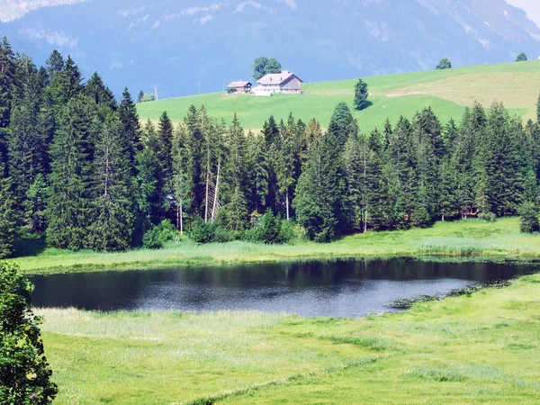 Lago Más Pequeño Schwendisee Hinterer Schwendisee Wildhaus Cantón Gallen Suiza —  Fotos de Stock