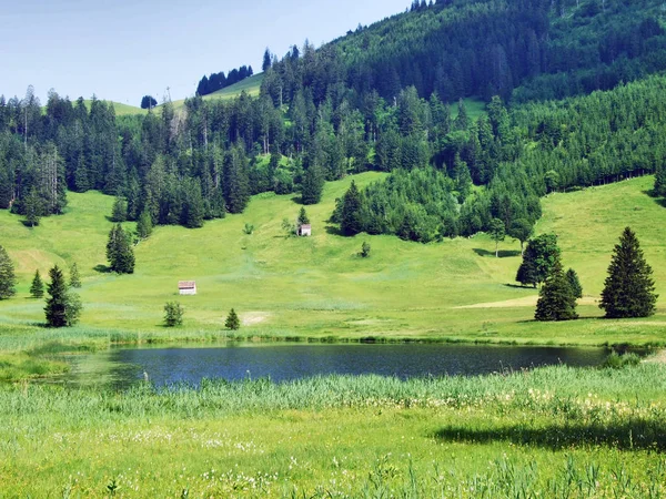 Lago Más Pequeño Schwendisee Hinterer Schwendisee Wildhaus Cantón Gallen Suiza — Foto de Stock