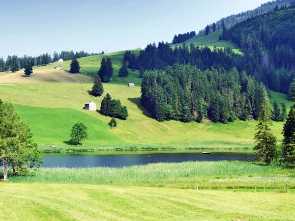Lago Más Pequeño Schwendisee Hinterer Schwendisee Wildhaus Cantón Gallen Suiza — Foto de Stock