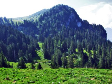 Tschugga tepe veya Tschugga Spitz Appenzell Alp dağ silsilesi - St. Gallen kantonu, İsviçre