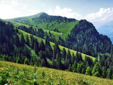 Tschugga tepe veya Tschugga Spitz Appenzell Alp dağ silsilesi - St. Gallen kantonu, İsviçre