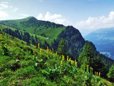 Tschugga tepe veya Tschugga Spitz Appenzell Alp dağ silsilesi - St. Gallen kantonu, İsviçre