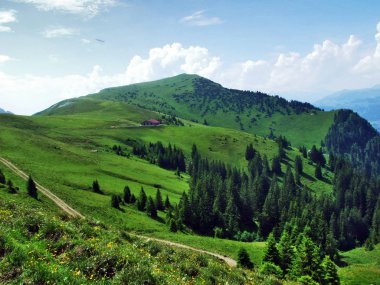 Tschugga tepe veya Tschugga Spitz Appenzell Alp dağ silsilesi - St. Gallen kantonu, İsviçre