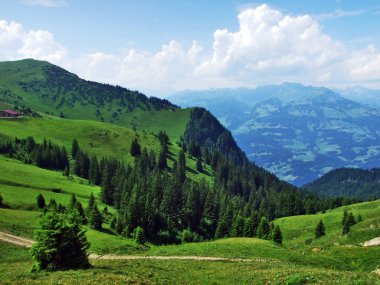 Tschugga tepe veya Tschugga Spitz Appenzell Alp dağ silsilesi - St. Gallen kantonu, İsviçre
