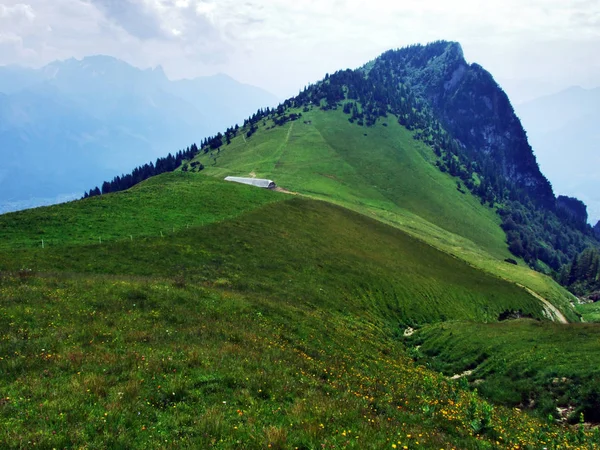 Gonzen Mountain Oder Gonzen Berggipfel Den Appenzeller Alpen Kanton Gallen — Stockfoto