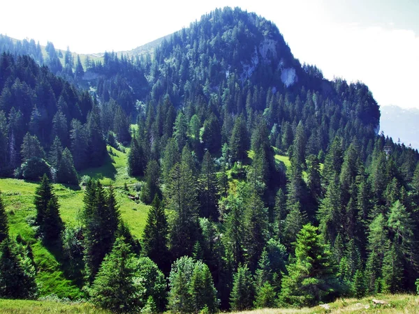 Tschugga Tepe Veya Tschugga Spitz Appenzell Alp Dağ Silsilesi Gallen — Stok fotoğraf