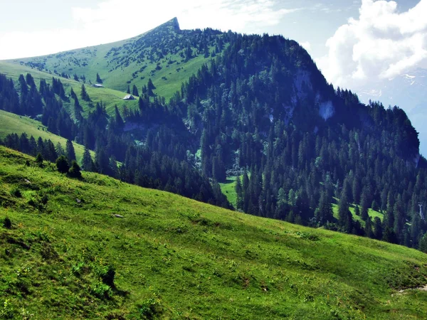 Szczyt Tschugga Lub Tschugga Spitz Prealpy Szwajcarskie Pasmo Górskie Kantonu — Zdjęcie stockowe