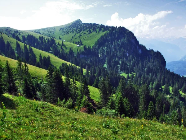 阿彭策尔阿尔卑斯山山脉的 Tschungga Tschungga Spitz 瑞士圣加仑州 — 图库照片