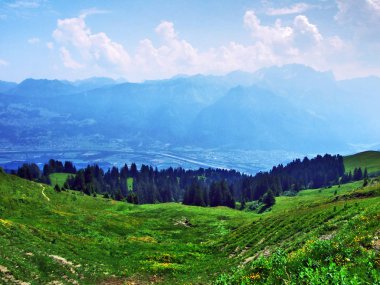 Alpine mera ve çayırlar Appenzell Alp dağ silsilesi - Canton St. Gallen, İsviçre eteklerinde