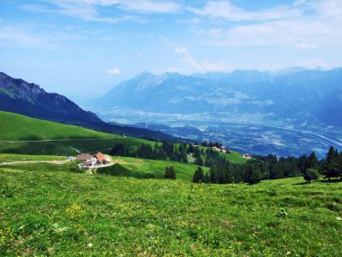 Alpine mera ve çayırlar Appenzell Alp dağ silsilesi - Canton St. Gallen, İsviçre eteklerinde