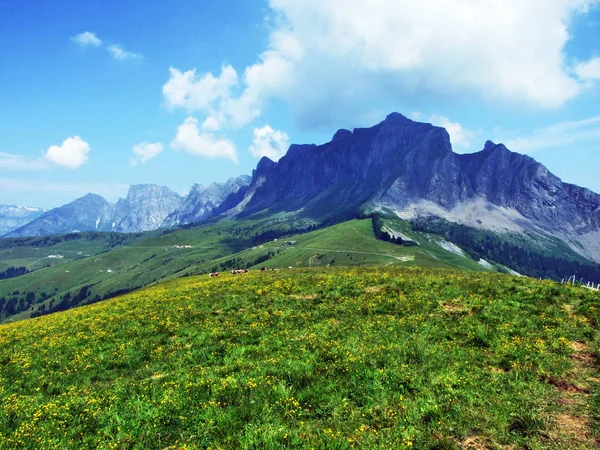 Girenspitz Gauschla Bergen Het Bereik Van Rtikon Van Alpen Kanton — Stockfoto