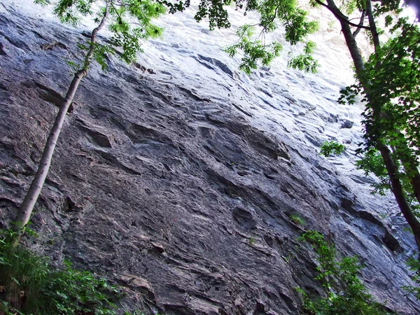 Pedras Rochas Montanha Gonzen Acima Sargans Vale Reno Cantão Gallen — Fotografia de Stock