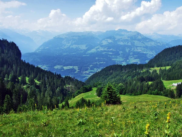 高山の牧草地とアッペンツェル アルプス山脈 ザンクト ガレンのカントン スイス連邦共和国の斜面の牧草地 — ストック写真