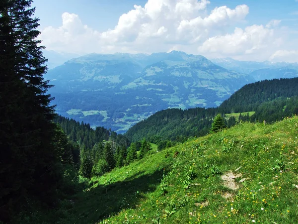 Alpejskie Pastwiska Łąki Zboczach Alp Appenzell Pasmo Górskie Kantonu Gallen — Zdjęcie stockowe