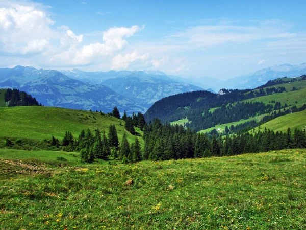 高山の牧草地とアッペンツェル アルプス山脈 ザンクト ガレンのカントン スイス連邦共和国の斜面の牧草地 — ストック写真
