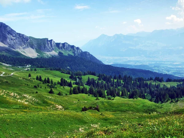 Alpské Pastviny Louky Svazích Alp Appenzell Horské Pásmo Kantonu Gallen — Stock fotografie