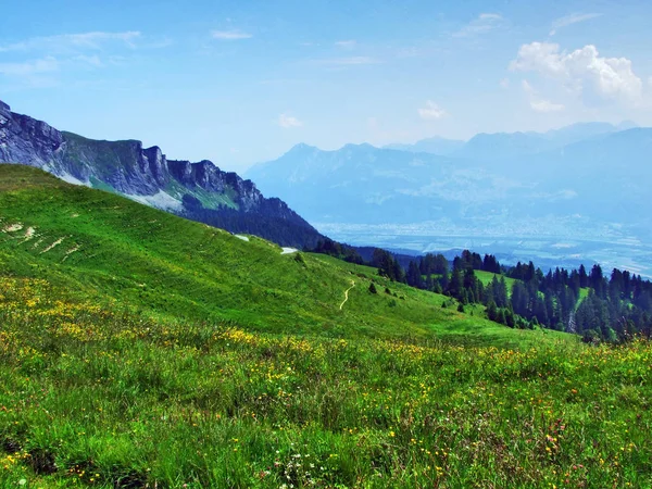 Alpské Pastviny Louky Svazích Alp Appenzell Horské Pásmo Kantonu Gallen — Stock fotografie