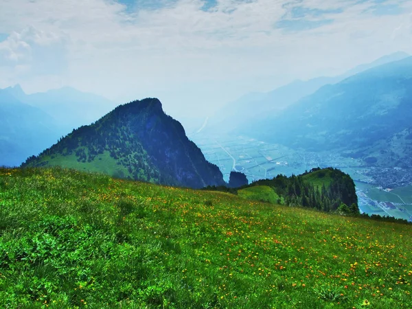 Almen Und Wiesen Den Hängen Der Appenzeller Alpen Kanton Gallen — Stockfoto