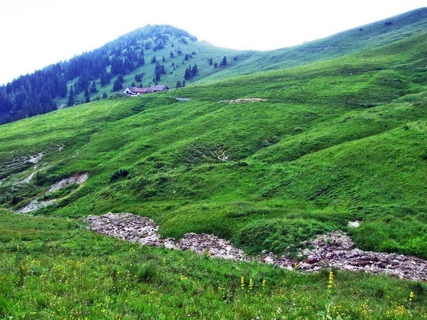 Alpské Pastviny Louky Svazích Alp Appenzell Horské Pásmo Kantonu Gallen — Stock fotografie