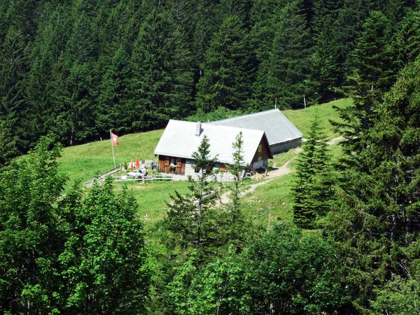 高山畜産農家および馬小屋として地域 ザンクト ガレンのカントン スイス連邦共和国の Churfirsten 山脈の斜面に — ストック写真