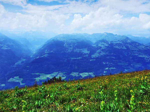 Visa Från Gonzen Topp Appenzell Alperna Bergskedja Kantonen Sankt Gallen — Stockfoto