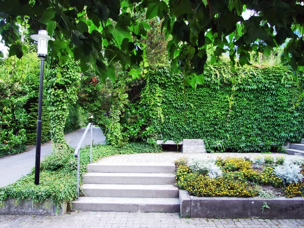 Parklar Sargans yerleşim Rhine Nehri Vadisi - Canton St. Gallen, İsviçre