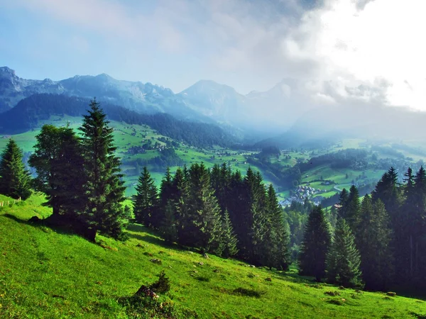 トッゲンブルグ地域 ザンクト ガレンのカントン スイス連邦共和国で斜面 Churfirsten 山脈の常緑の森 — ストック写真
