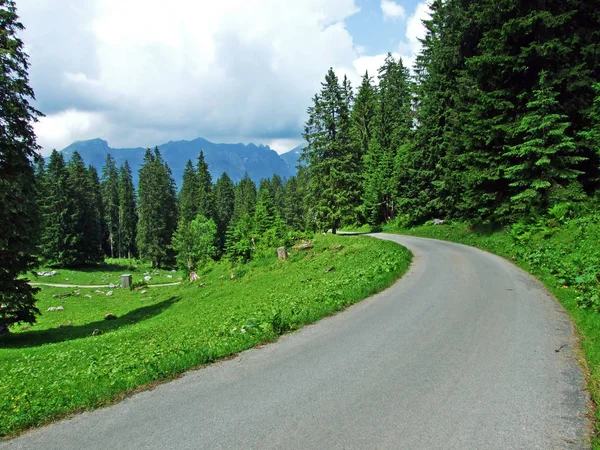 Arbres Forêts Feuillage Persistant Sur Les Pentes Chaîne Montagnes Churfirsten — Photo