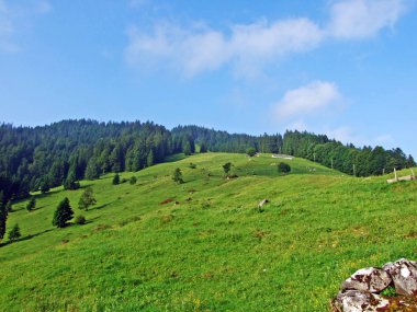 Alpine mera ve çayırlar Churfirsten dağ silsilesi Toggenburg bölgesi - Canton St. Gallen, İsviçre eteklerinde