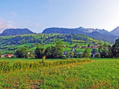 Alpine mera ve çayırlar Churfirsten dağ silsilesi Toggenburg bölgesi - Canton St. Gallen, İsviçre eteklerinde