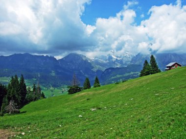 Alpine mera ve çayırlar Churfirsten dağ silsilesi Toggenburg bölgesi - Canton St. Gallen, İsviçre eteklerinde