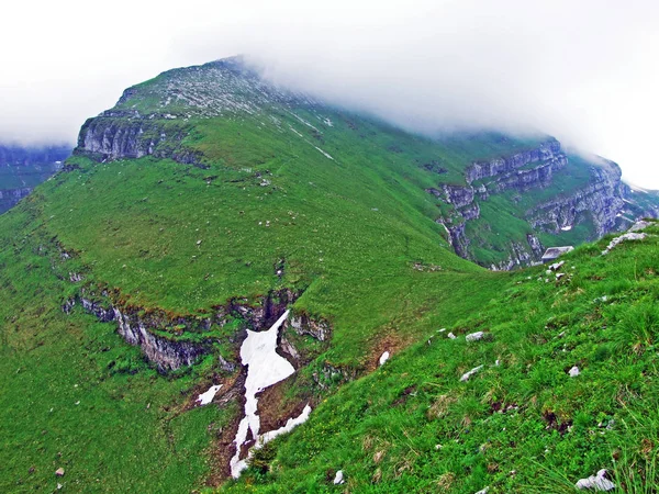 Alpina Betesmarker Och Ängar Sluttningarna Bergskedjan Churfirsten Toggenburg Regionen Kantonen — Stockfoto