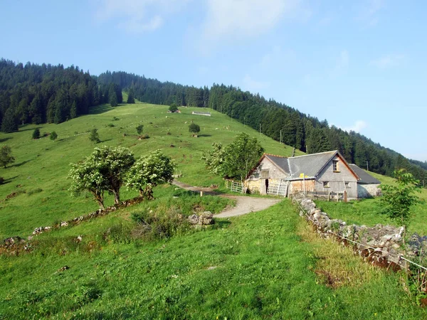 Gospodarstwa Hodowlane Alpejskie Stajnie Stokach Pasmo Górskie Churfirsten Toggenburg Regionu — Zdjęcie stockowe